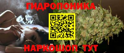 индика Кандалакша