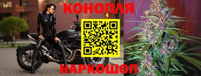 индика Кандалакша