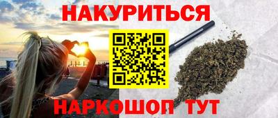 индика Кандалакша