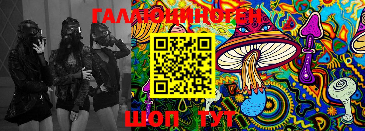 Галлюциногенные грибы Psilocybe Дальнегорск