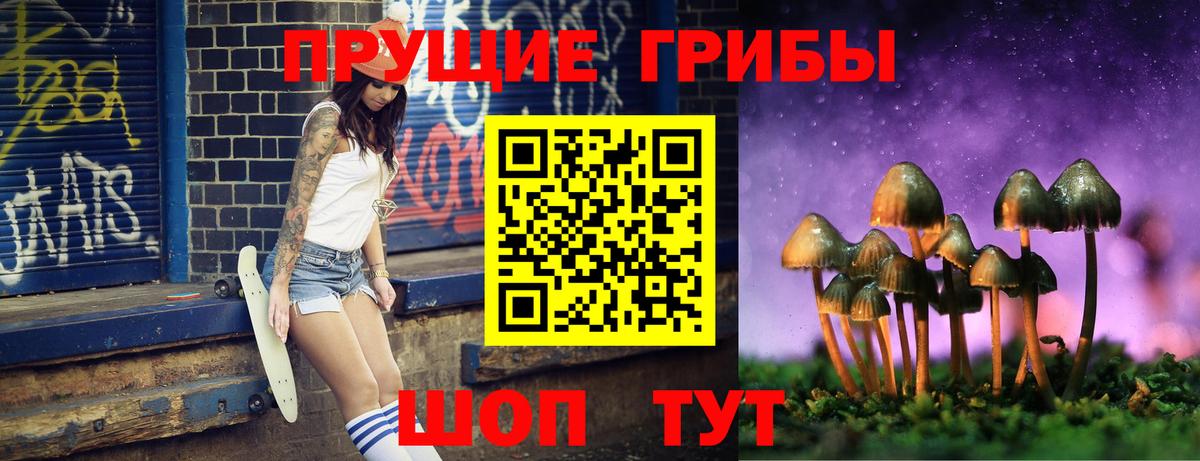 Дальнегорск  Галлюциногенные грибы прущие грибы  Вход с VPN  Галлюциногенные грибы MAGIC MUSHROOMS 